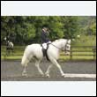 durdress26_0277