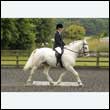 durdress26_0279