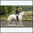 durdress26_0280