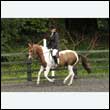 durdress26_0287