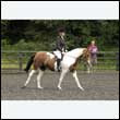 durdress26_0290