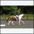 durdress26_0292