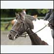 durdress26_0297