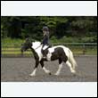durdress26_0299