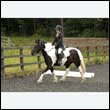durdress26_0306