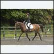 durdress26_0311