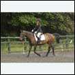 durdress26_0312