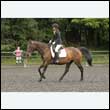durdress26_0320