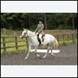 durdress26_0324