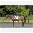 durdress26_0325