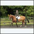 durdress26_0328