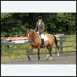 durdress26_0329