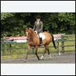 durdress26_0330