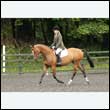 durdress26_0331