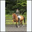durdress26_0332