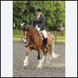 durdress26_0333