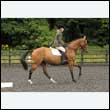 durdress26_0336