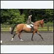 durdress26_0337