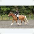 durdress26_0338