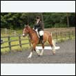 durdress26_0339