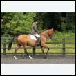 durdress26_0340