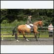 durdress26_0342