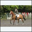 durdress26_0346