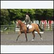 durdress26_0347