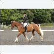 durdress26_0349