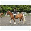 durdress26_0350