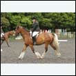 durdress26_0351