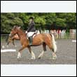 durdress26_0352