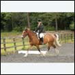 durdress26_0353