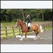 durdress26_0354