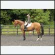 durdress26_0355