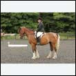 durdress26_0356