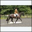 durdress26_0357