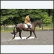 durdress26_0358