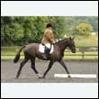 durdress26_0362