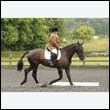 durdress26_0363