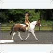 durdress26_0366