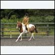 durdress26_0370