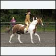 durdress26_0371