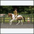 durdress26_0372