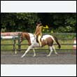 durdress26_0373