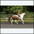 durdress26_0375
