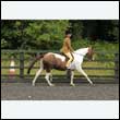 durdress26_0376