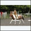 durdress26_0378