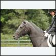durdress26_0381