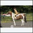 durdress26_0382